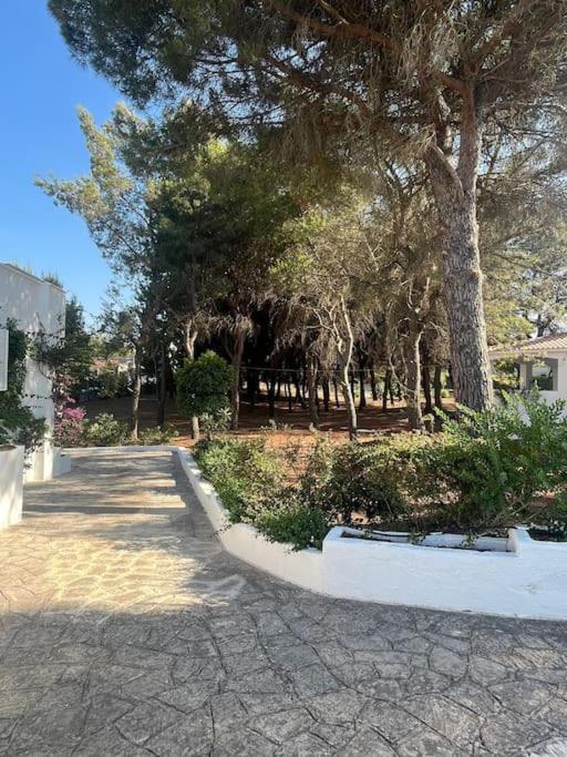 Villa Bouganville 2 Остуні Екстер'єр фото